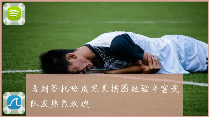 马刺签托哈成完美拼图经验丰富受队友热烈欢迎